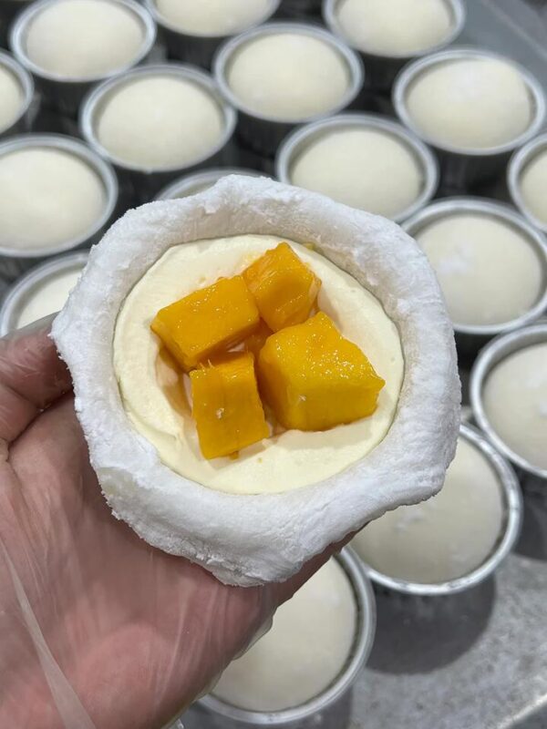 G-LAB R2E2 Mango Mochi - 110g