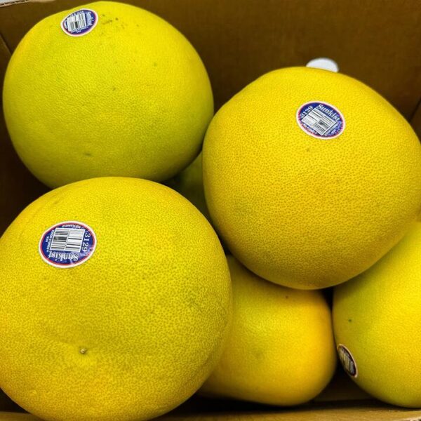 American Red Pomelo - Large 1 Piece