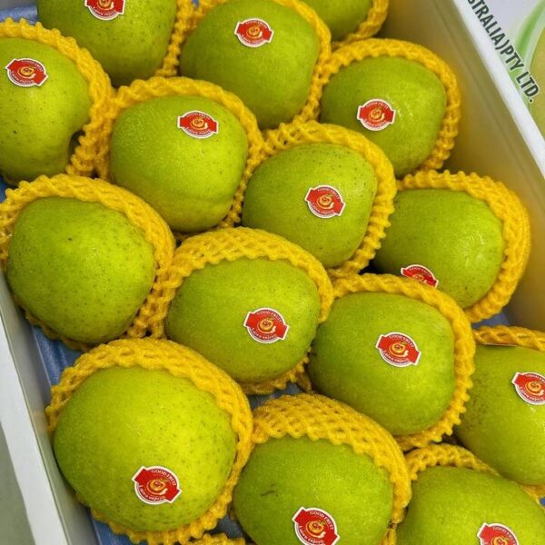 Wang Lin Apple - 1 Piece