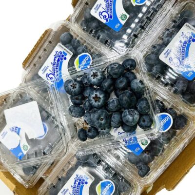 Fresh Jumbo Blueberries - 125g