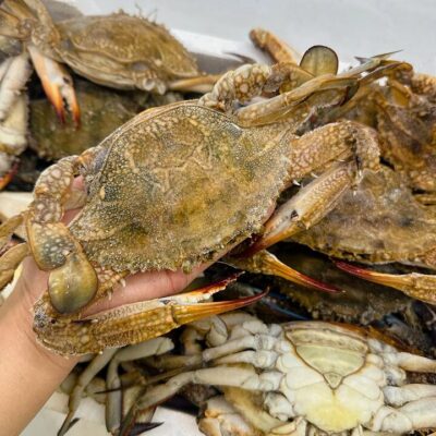 Frozen Blue Swimmer Crab - 4 Whole Crabs, 1kg