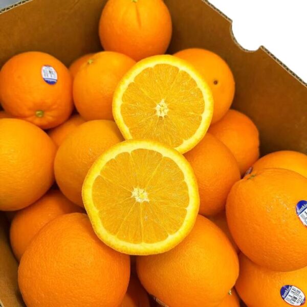 American Navel Oranges - 3 Pieces