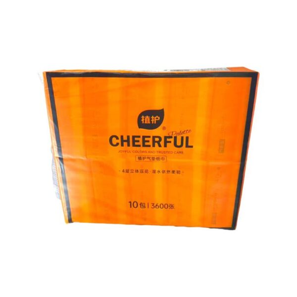 ZhiHu Cheerful 4-Ply Embossed Facial Tissues - 90 Sheets x 10 Packs