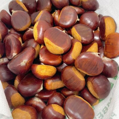 UMall Premium Local Extra Large Chestnuts (Random L4-L5) 500g