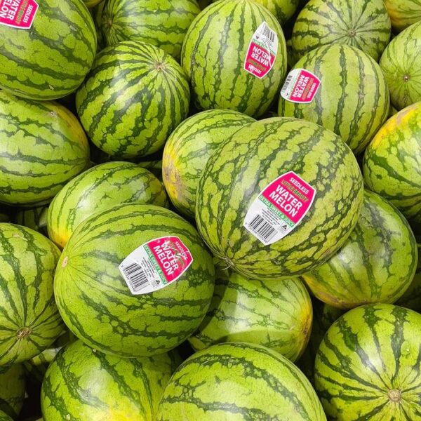 Sweet Sugar Baby Watermelon 3-4kg
