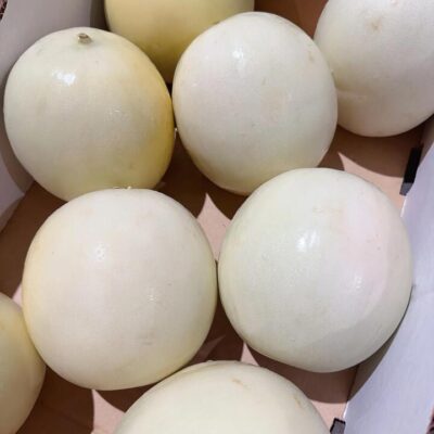 Large HoneyDew Melon - 1 Piece