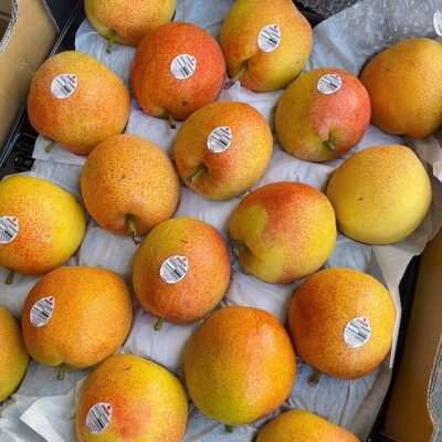 Local Papple (Apple Pear) - Bag of 3