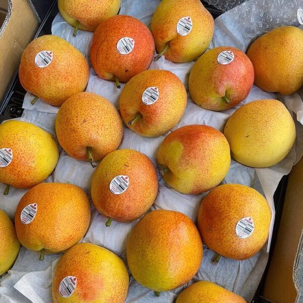 Local Papple (Apple Pear) - Bag of 3