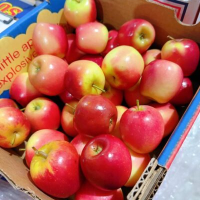 Missile Mini Apples 1kg