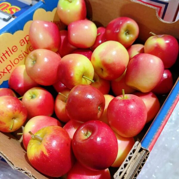 Missile Mini Apples 1kg