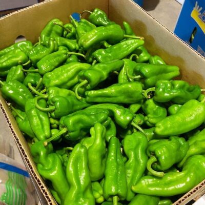 Pan-Seared Green Chili Peppers 500g