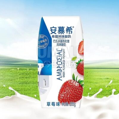 AMX Greek Yoghurt, Strawberry Flavour, Single Pack, 205ml
