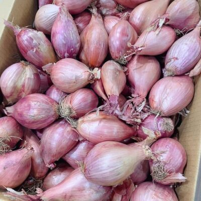 Tasmanian Red Shallots - 500g