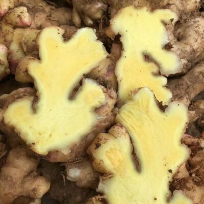 Fresh Small Yellow Ginger - 500g