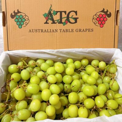 Spartan Premium Autumn Crisp Shine Muscat Grapes - 1kg