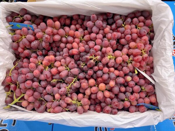 Premium Crisp Red Globe Grapes - 1kg