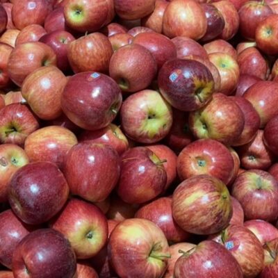 Gala Apples (Minor Surface Scratches) - 1kg