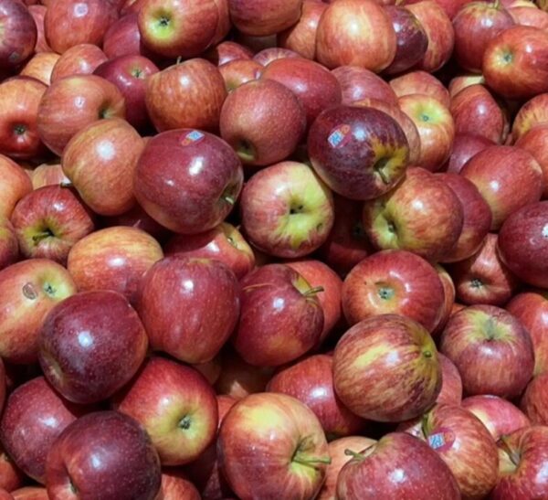 Gala Apples (Minor Surface Scratches) - 1kg