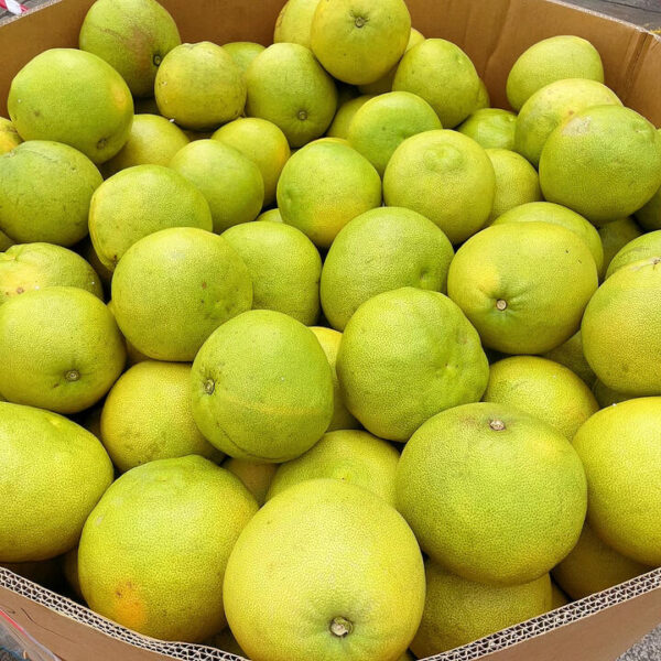 Queensland Premium Large Shatian Pomelo - 1 Piece, 1.3kg