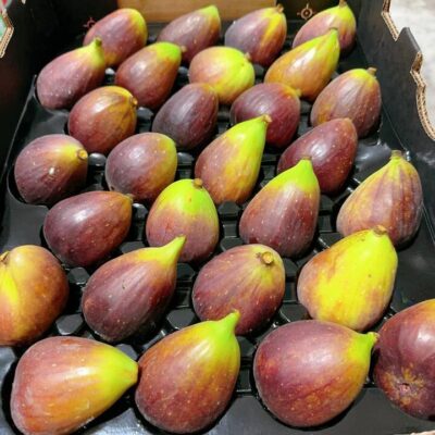 Large Figs - 4 Pieces
