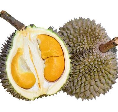 D13 Zhuque 'Little Black Thorn' Golden Durian - 2.2-2.4kg Each