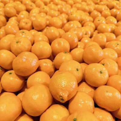 Small Sweet Tangerines 1kg