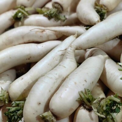 Special Offer White Radish - 1 Piece