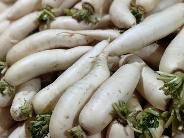 Special Offer White Radish - 1 Piece