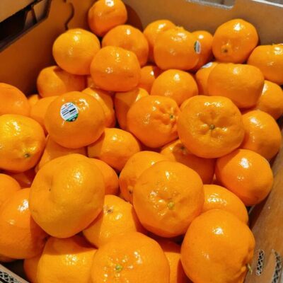 Imperial Sweet Oranges - 1kg