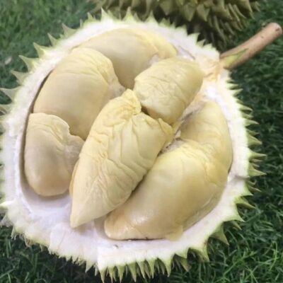 Fresh Tree-ripened White Pearl Durian Pulp 400g