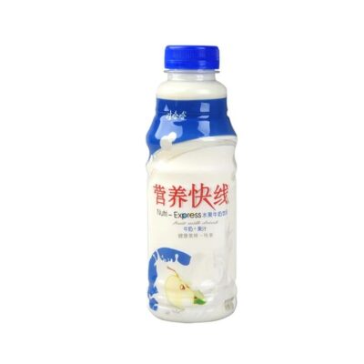Wahaha Nutri-Express Vanilla Ice Cream Flavor - 500ml