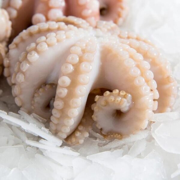 Cleaned Baby Octopus - 500g