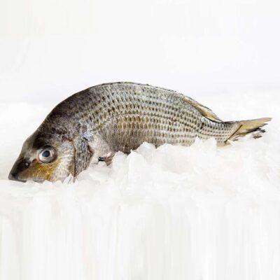 Fresh Yellowfin Bream (Scaled and Gutted) - 600g | (No Sunday Delivery)