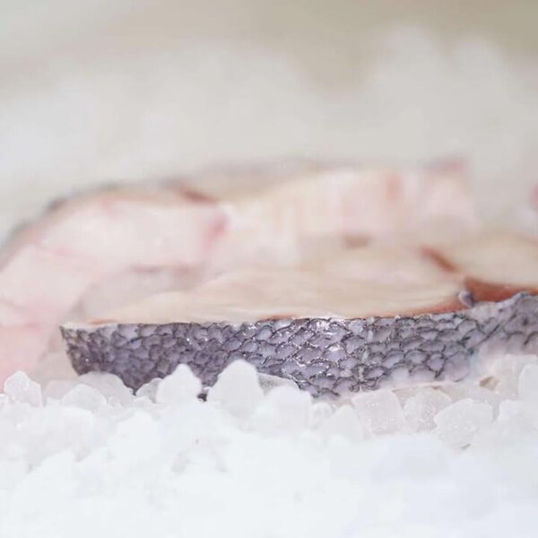 Blue Cod (Scaled and Gutted) - 800g | (No Sunday Delivery)