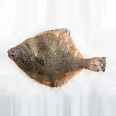 Yellowbelly Flounder (Scaled and Gutted) - 600g | (No Sunday Delivery)