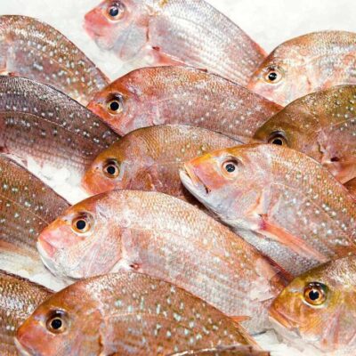 Whole Snapper (Scaled and Gutted) - 500-600g | (No Sunday Delivery)
