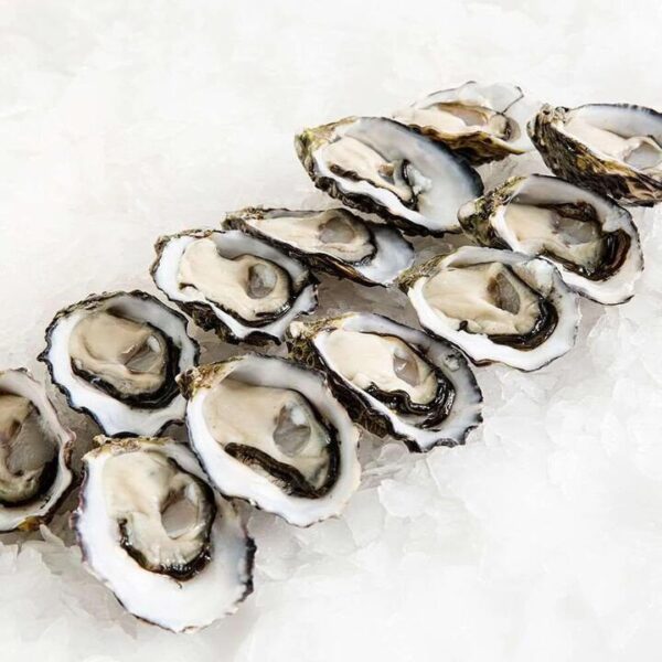 Pacific Oyster Large - 1 Dozen | (No Sunday Delivery)