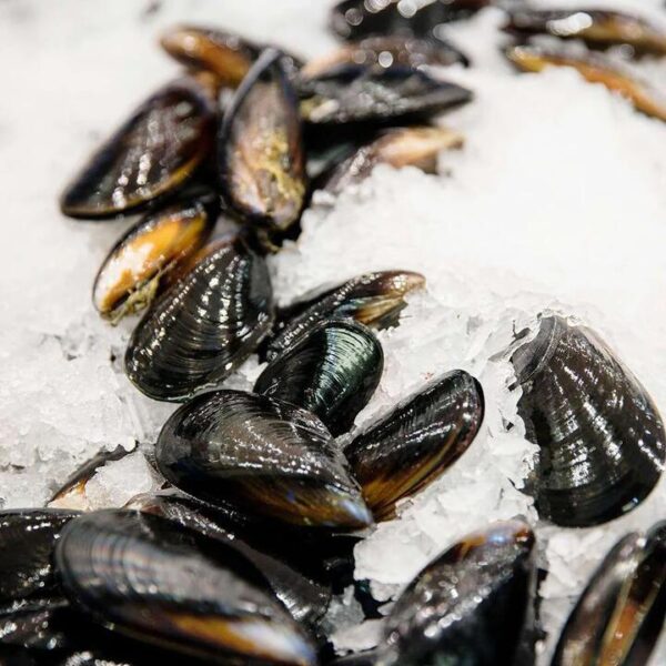 Black Local Mussels - 1kg | (No Sunday Delivery)