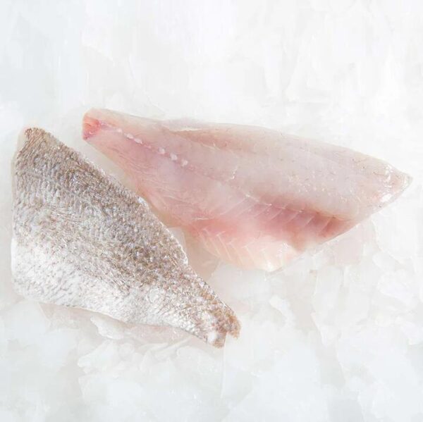 Snapper Fillets (2 x 200g) | (No Sunday Delivery)