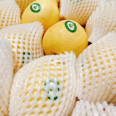 Chinese Ya Pears - Box of 10kg