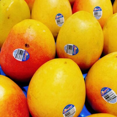 Calypso Mango - 1 Piece