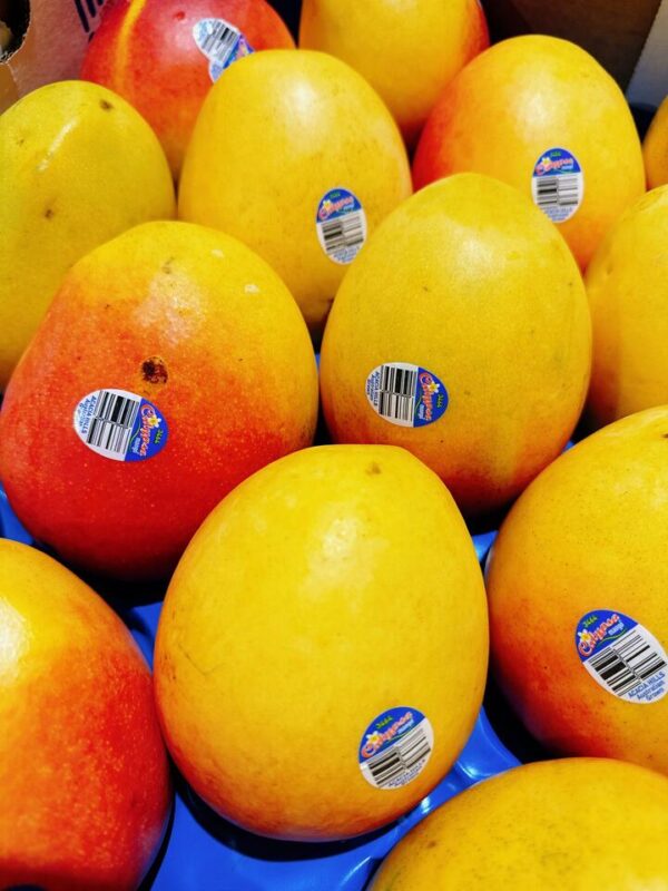 Calypso Mango - 1 Piece
