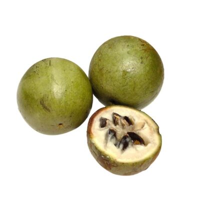 Milk Fruit - 500-550g