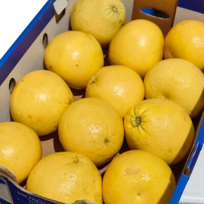 Pomelo White Flesh Grapefruit - 0.8-1kg