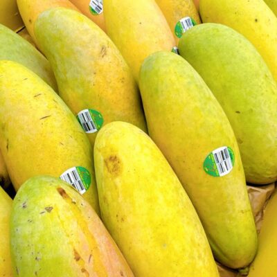MAHA Dragon Tooth Mango - 750-850g