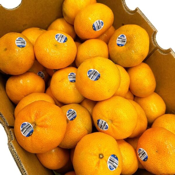 Afourer Mandarins - 1kg