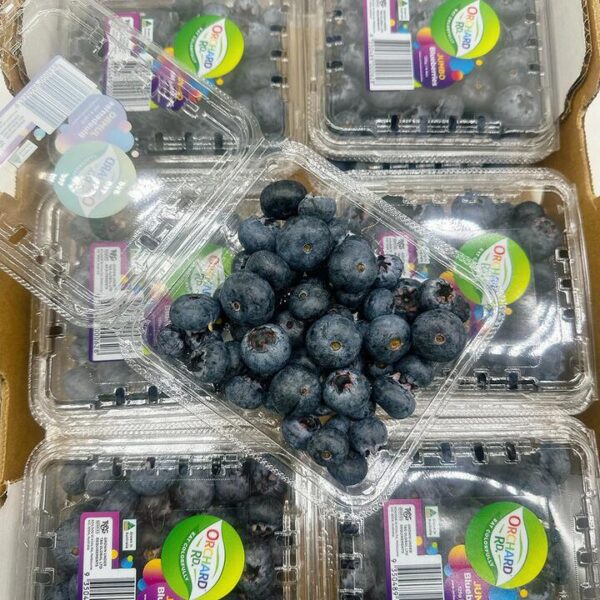 T&G Jumbo Blueberries - 125g