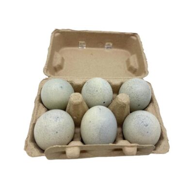 AurumPoultry Fresh Australian Lead-Free Century Eggs - 6 Pieces