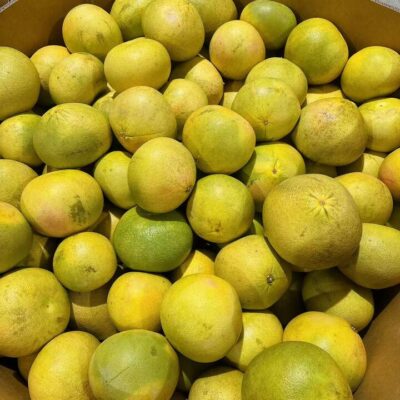 Queensland Red-Fleshed Shatian Pomelo - 1 Piece 1.6-1.8kg