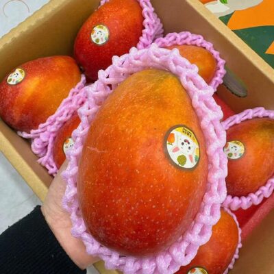Air-Flown Taiwan Irwin Mango - 1 Piece
